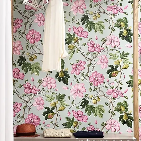 Couette-café Interno Sei